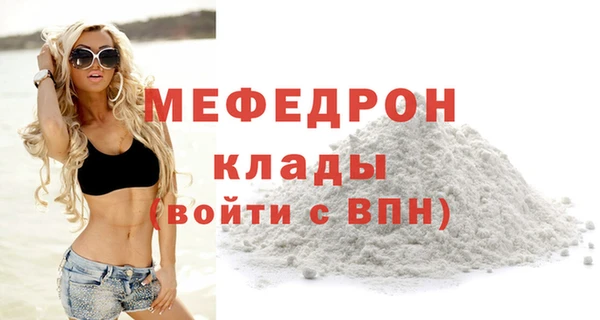 индика Бикин