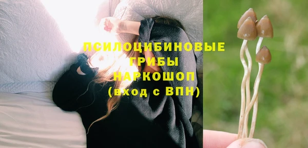 хмурый Нефтекумск