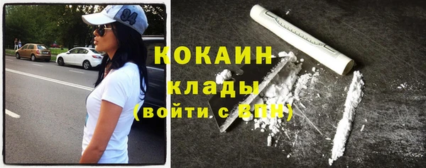 молекула духа Няндома